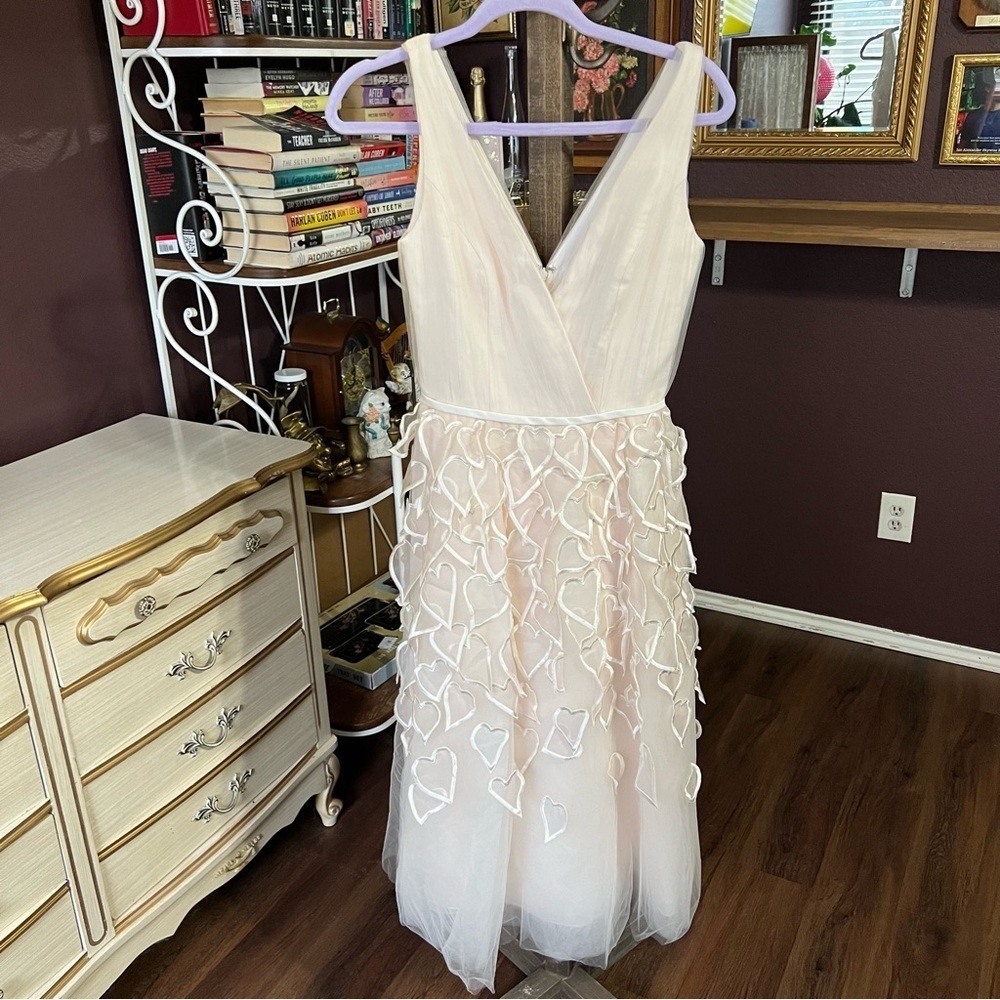 Carolina Herrera Light Pink Tulle Heart Applique A-Line
Dress Size 2